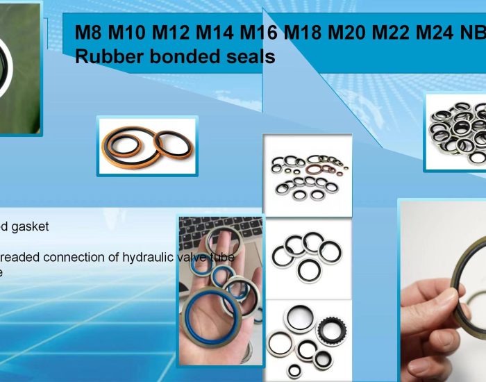 微信图片_20240703150823